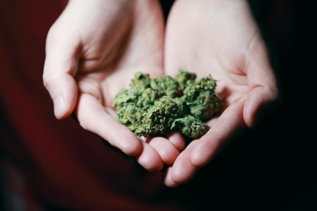 Cannabis (Weed) DUI Lawyer in Fort Lauderdale Florida | Michael White PA